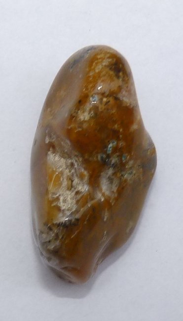 Stein8