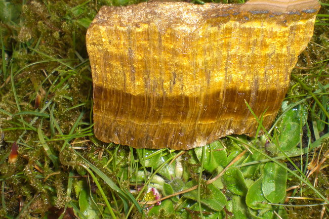 Tigerauge Rohstein 3.jpg
