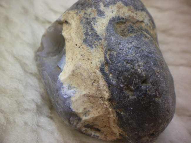 b 013.jpg