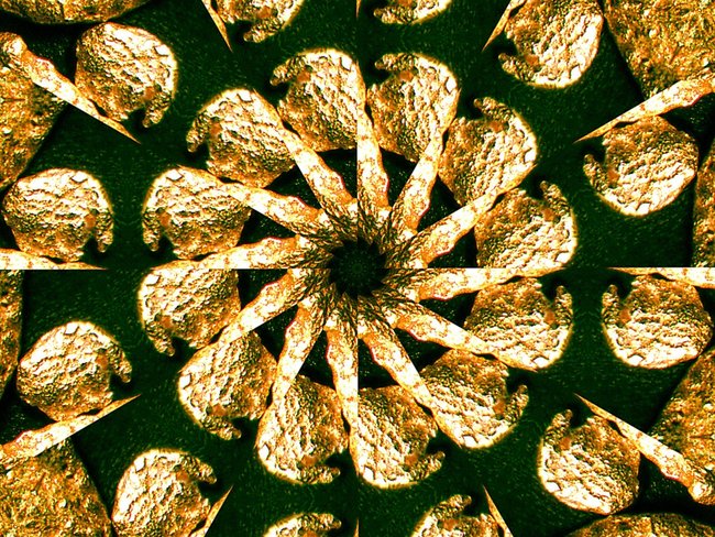 Gold