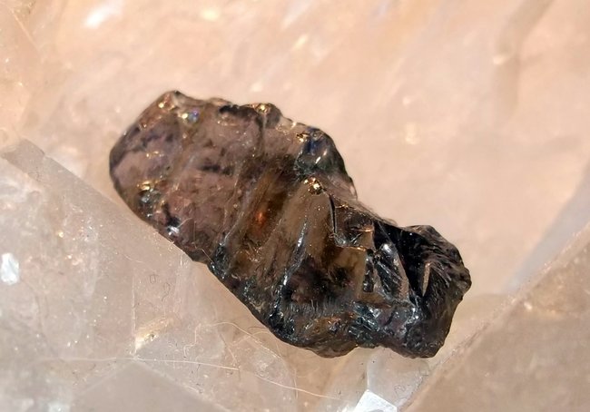 DSCF5428.JPG