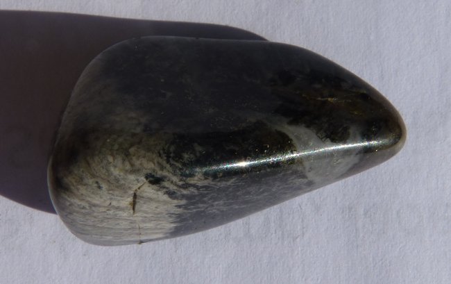 Neu-11.jpg