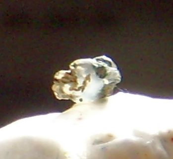 Fluoritsplitter_3mm.JPG