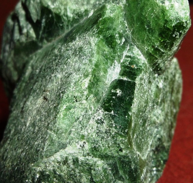 DSCF5555.JPG