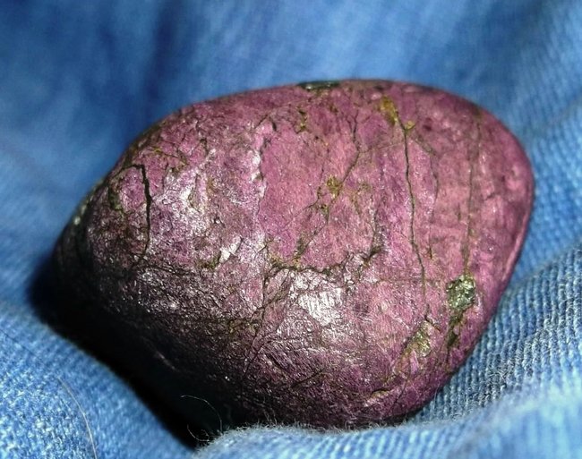 DSCF5490.JPG