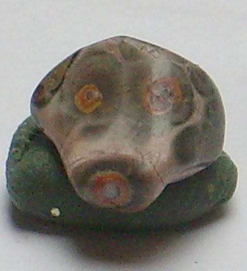Hund_10mm.jpg