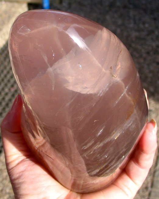 Sternros Skulp (1).JPG