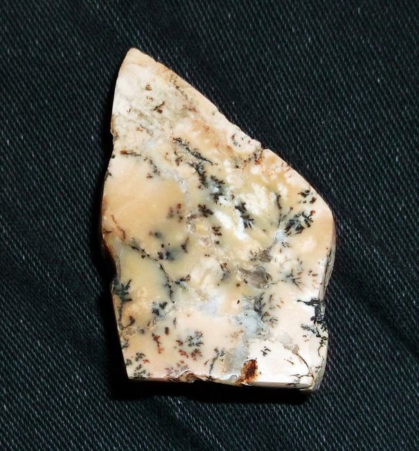 DSCF5964.JPG