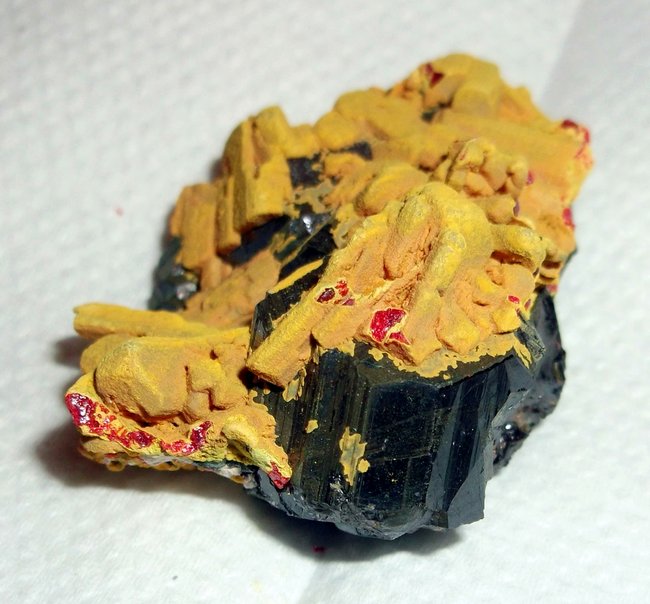 DSCF6058 kl.JPG