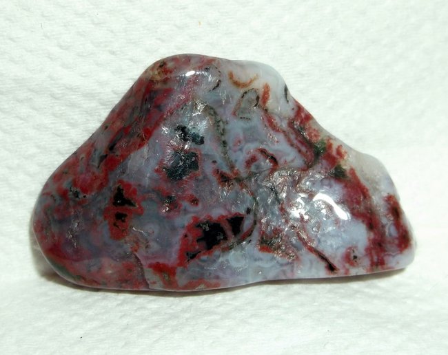 DSCF6115.JPG