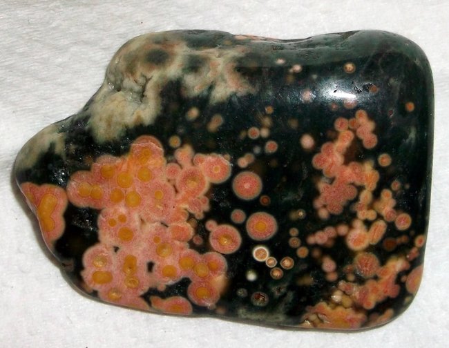 DSCF6142.JPG