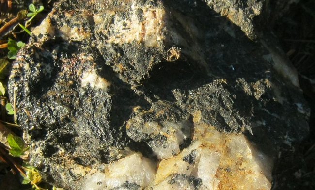 th 03.JPG