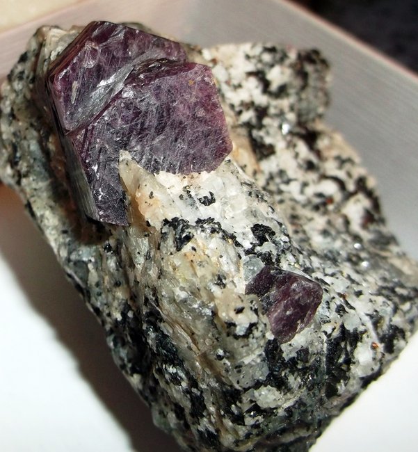 DSCF6294.JPG