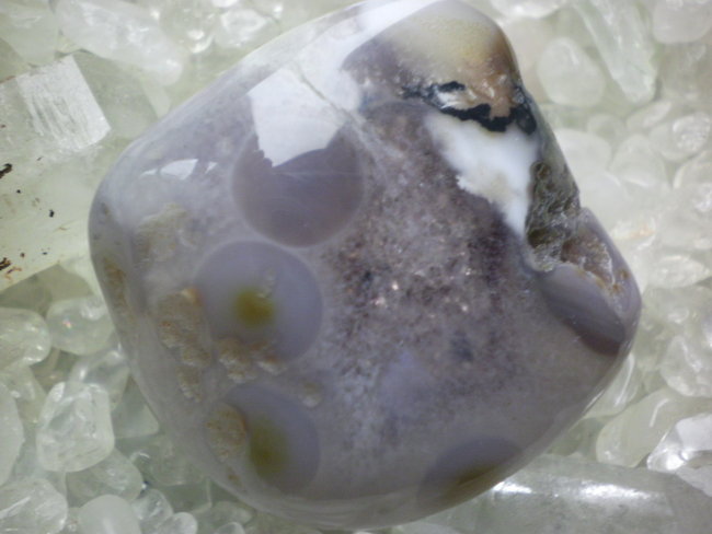 SANY0010.jpg
