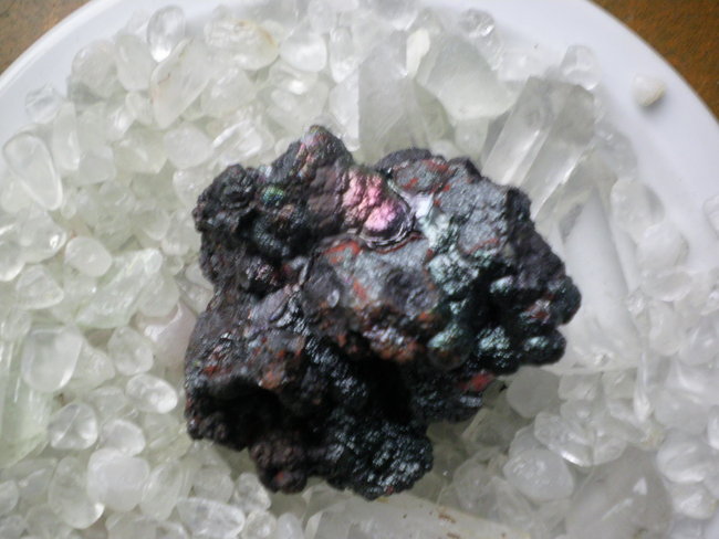 SANY0017.jpg