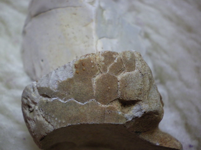 b 032.jpg