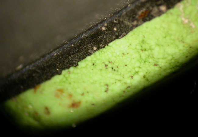 Gaspeit2647_5.jpg