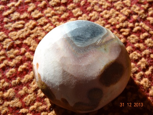 DSC01703.JPG