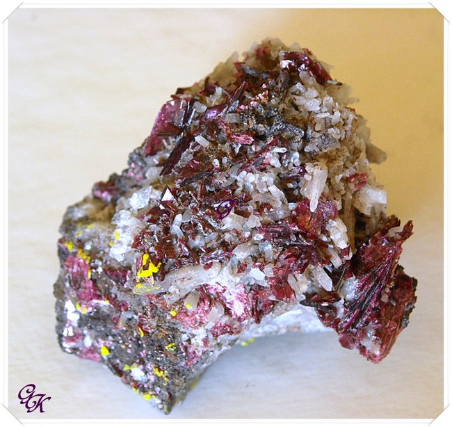 Erythrin 02 SCN0023_1.jpg