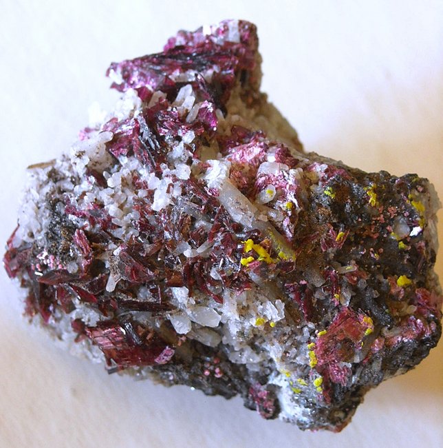 Erythrin Marokko 04 DSCN0045_1.jpg