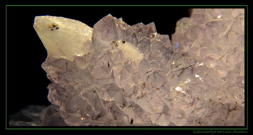 Amethyst - Kaktusamethyst - Brasilien.jpg