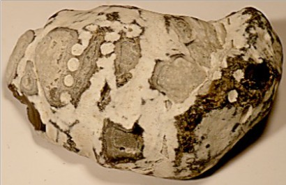 Feuerstein schwarz (Fossil)