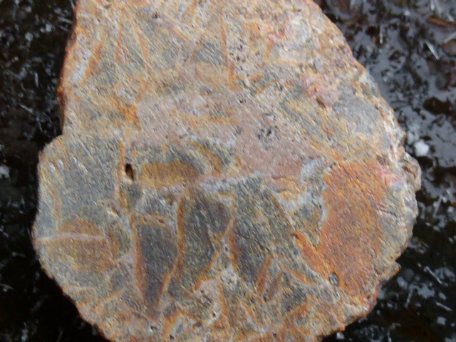 P1100578.JPG