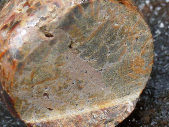 P1100579.JPG