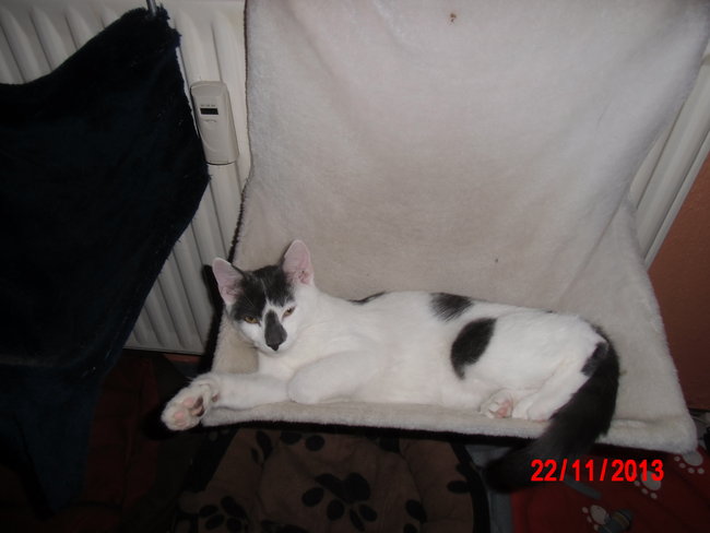 Teddy Kater