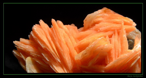 Baryt - lachs.jpg