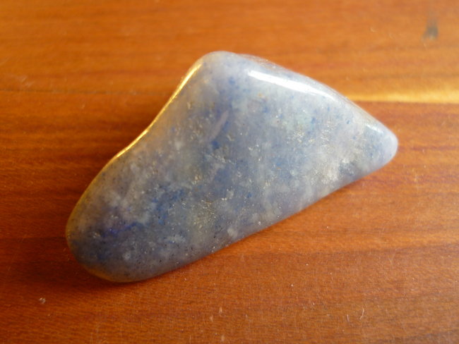 stein 1