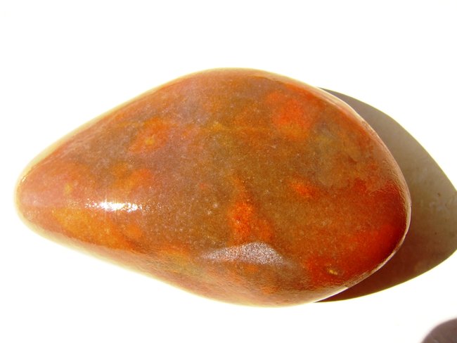 009.JPG