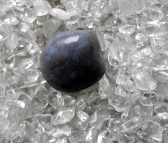 DSCI0047.JPG