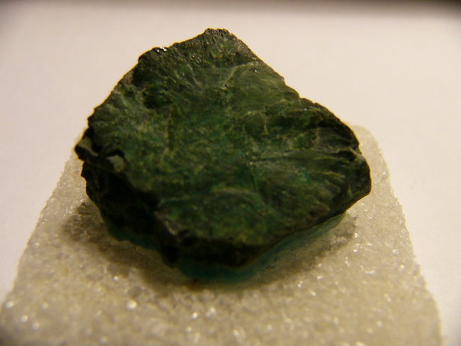 Chrysocolla arizona