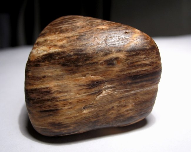 versteinertes Holz (?)