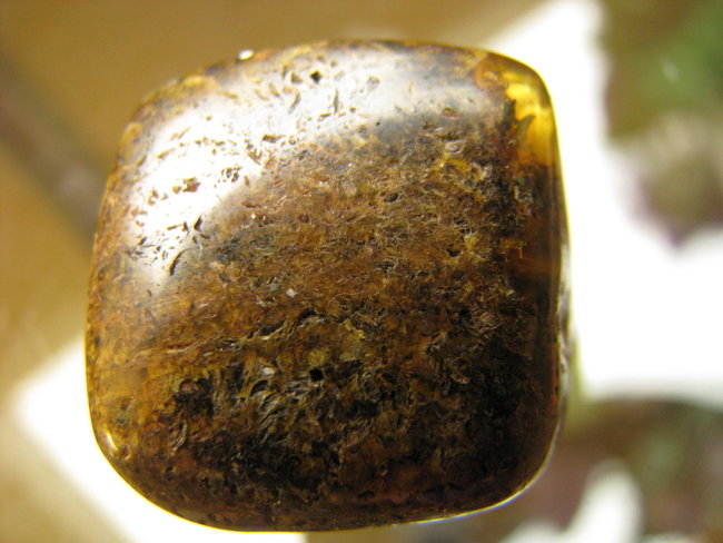 Stein 2