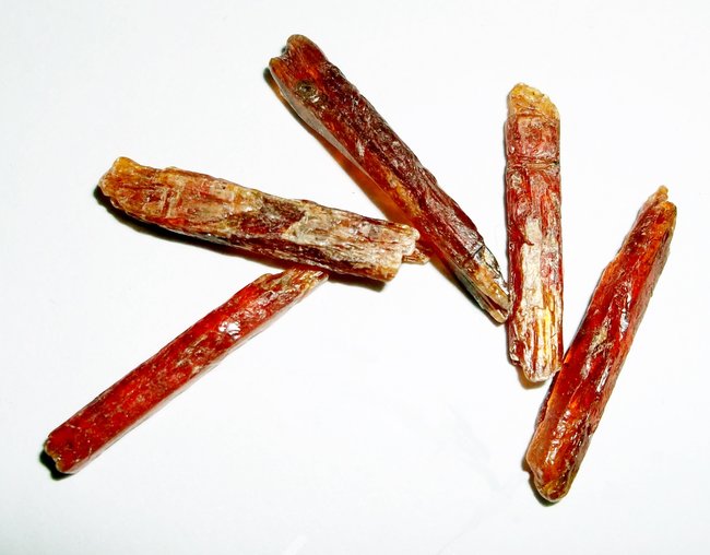 DSCF6539.JPG