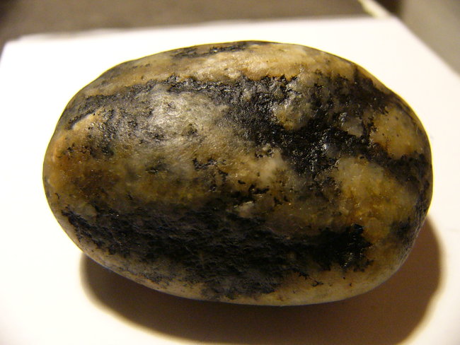 P1300679.JPG