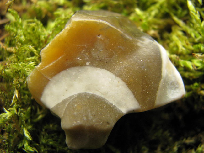 Flint
