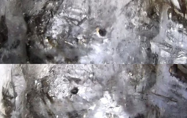 cats.jpg
