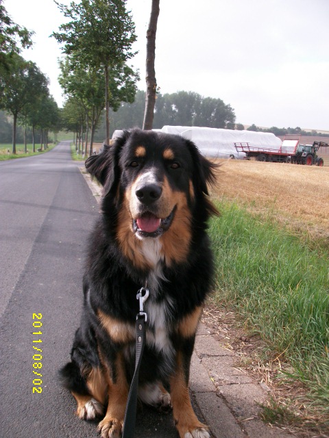 Max