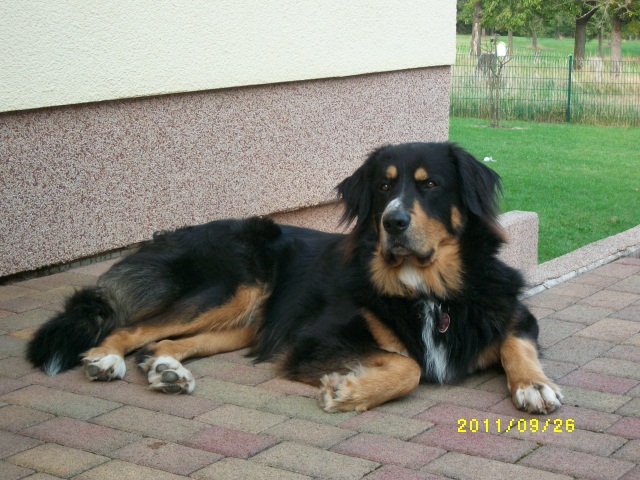 Max