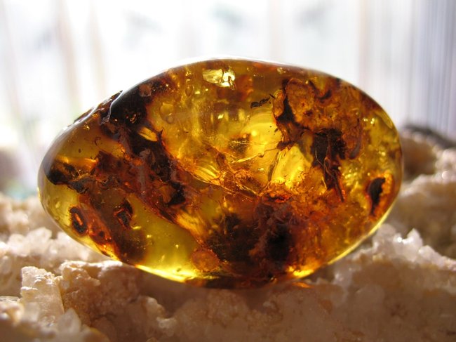 Bernst 14g (4).JPG