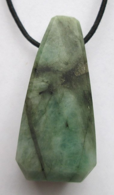 floh 02.03.2014-01.jpg