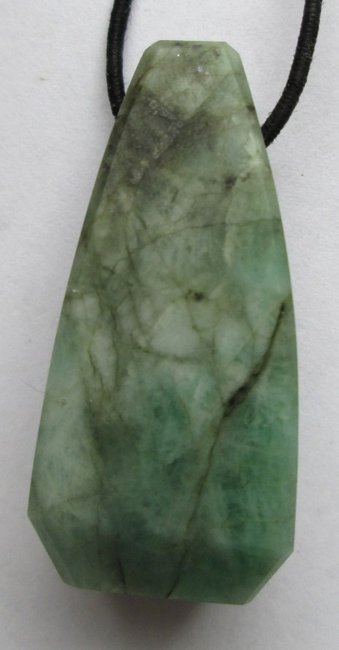 floh 02.03.2014-02.jpg