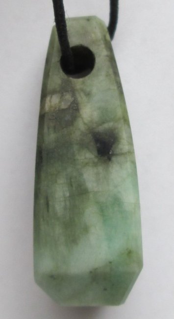 floh 02.03.2014-04.jpg