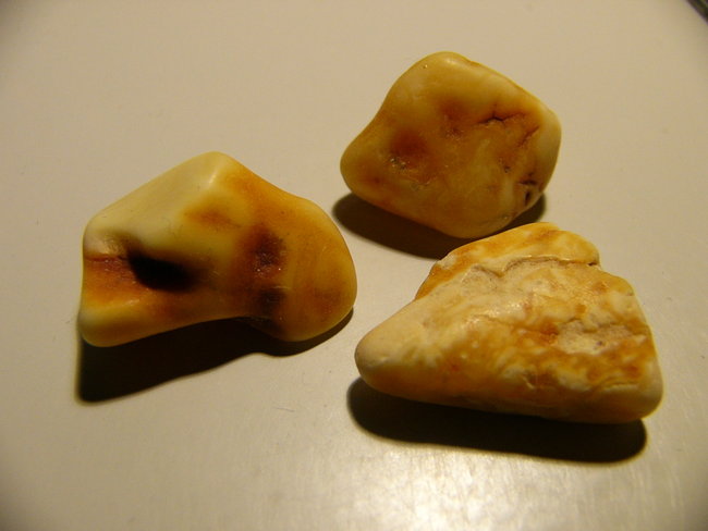3 kleine Bernsteine