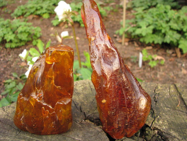 Bernsteine