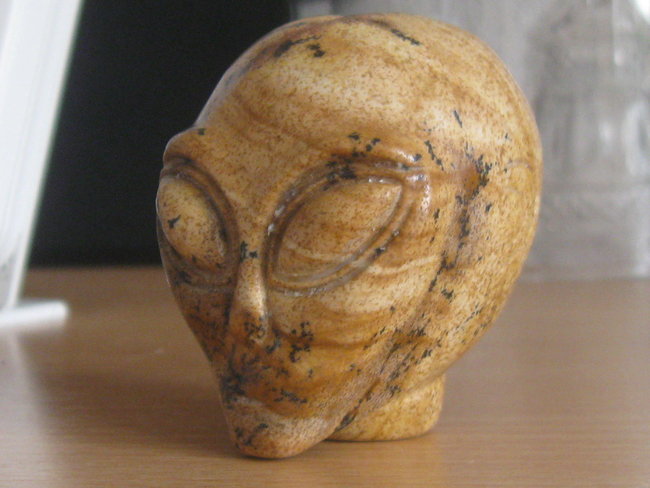 skull alien landschapsjaspis (11).jpg