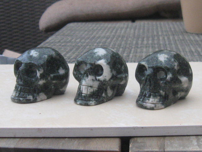 skull preseli groot (2).jpg